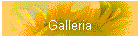 Galleria